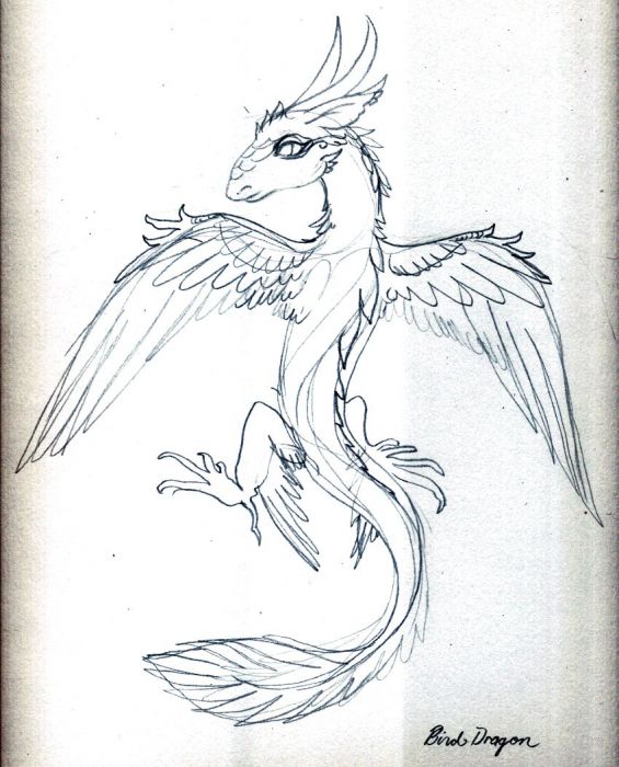 Bird Dragon by Kathy Nutt
